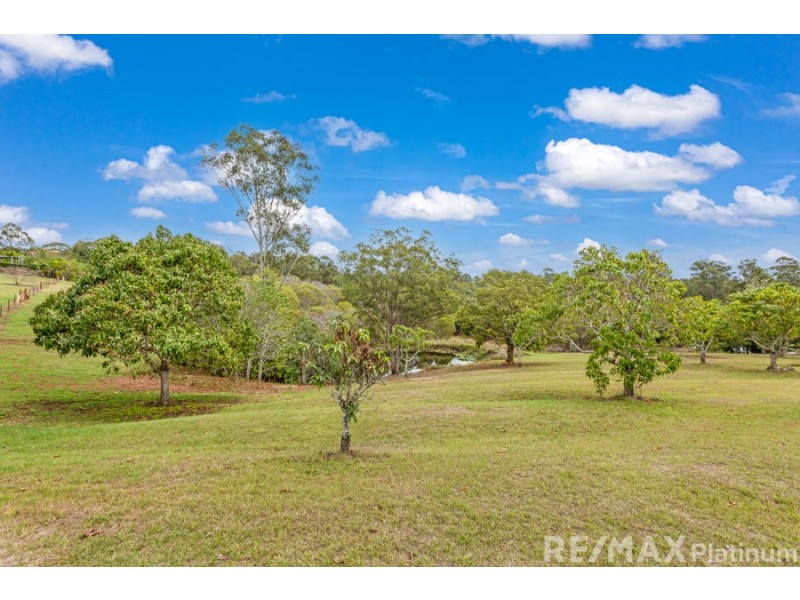 55 Wingara Drive, Morayfield QLD 4506