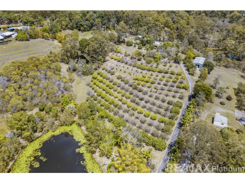 55 Wingara Drive, Morayfield QLD 4506