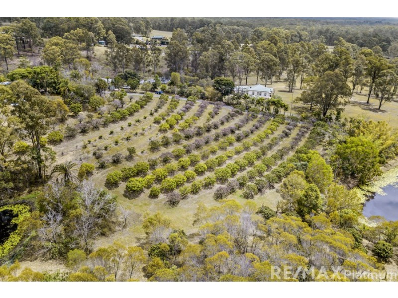 55 Wingara Drive, Morayfield QLD 4506