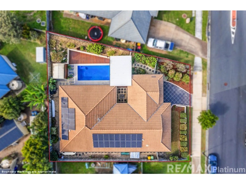 49 Bilby Drive, Morayfield QLD 4506