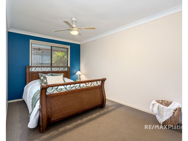 17 Civetta Court, Dakabin QLD 4503