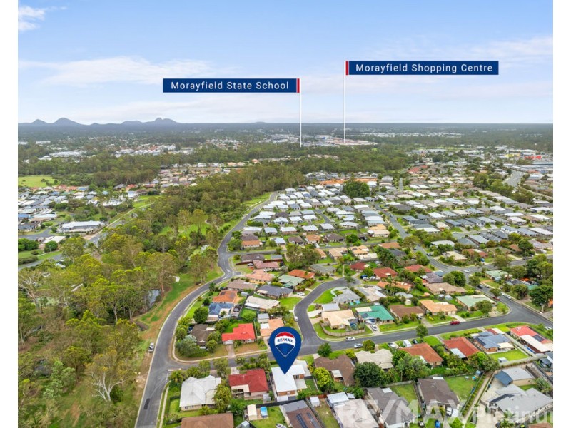 13 Sassafras Street, Morayfield QLD 4506