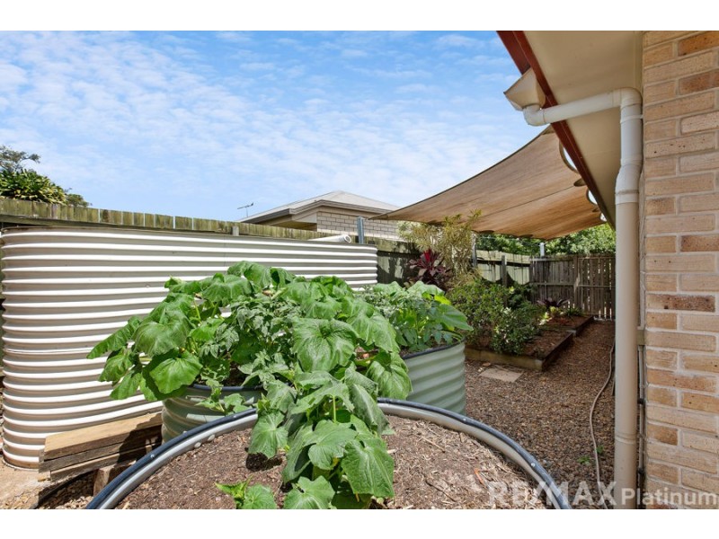 2 Damber Close, Morayfield QLD 4506