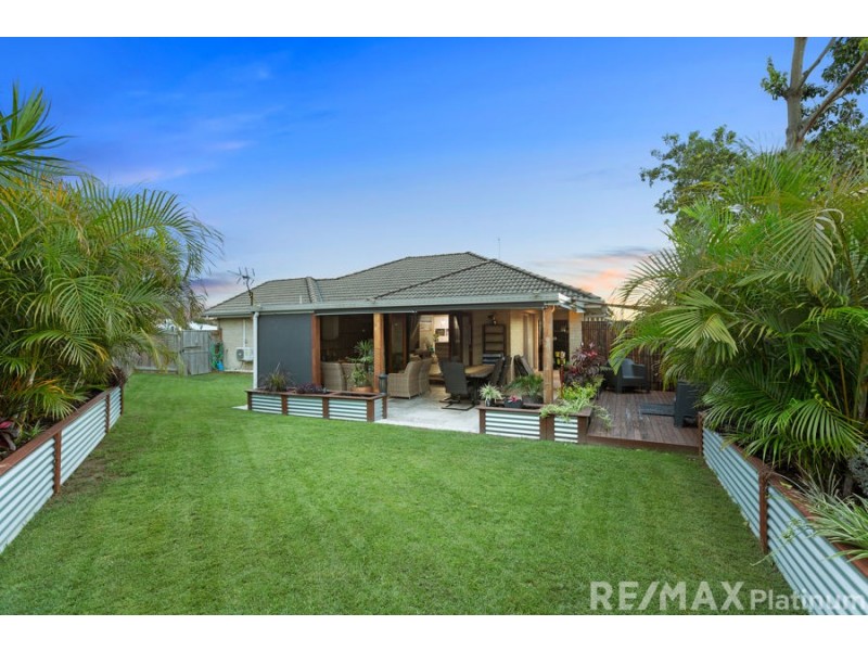 14 Wilton Court, Morayfield QLD 4506