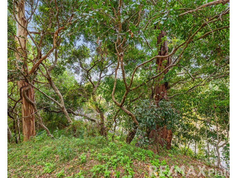 158 Trafalgar Drive, Morayfield QLD 4506