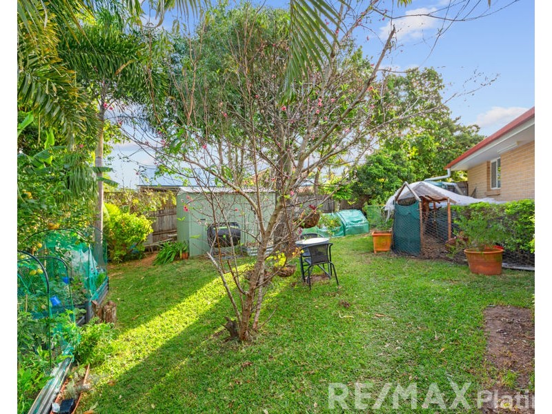 6 Guava Place, Narangba QLD 4504