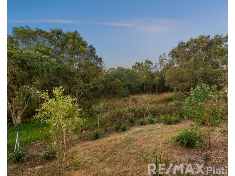80 Dhoni Circuit, Bracken Ridge QLD 4017