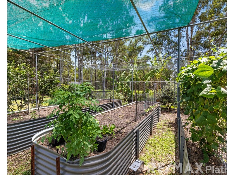 54-56 Sir Dapper Drive, Burpengary QLD 4505