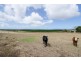 34 Kitty Temple Road, Mount Gambier SA 5290