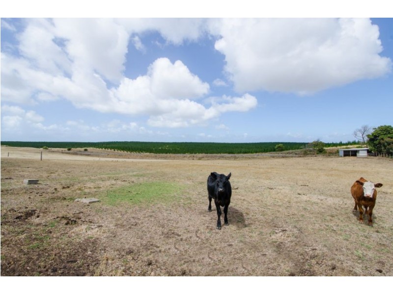 34 Kitty Temple Road, Mount Gambier SA 5290