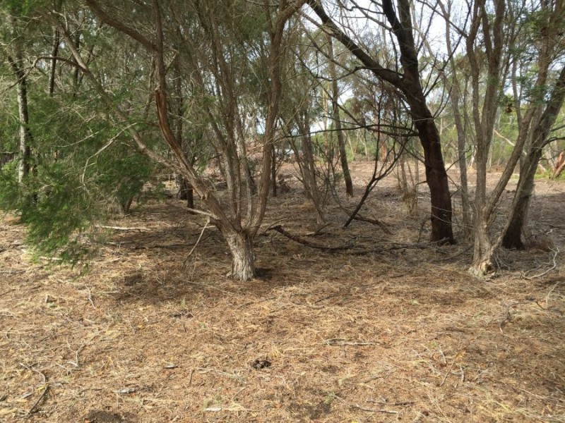 Lot 44 Simsons Landing Road, Nelson VIC 3292