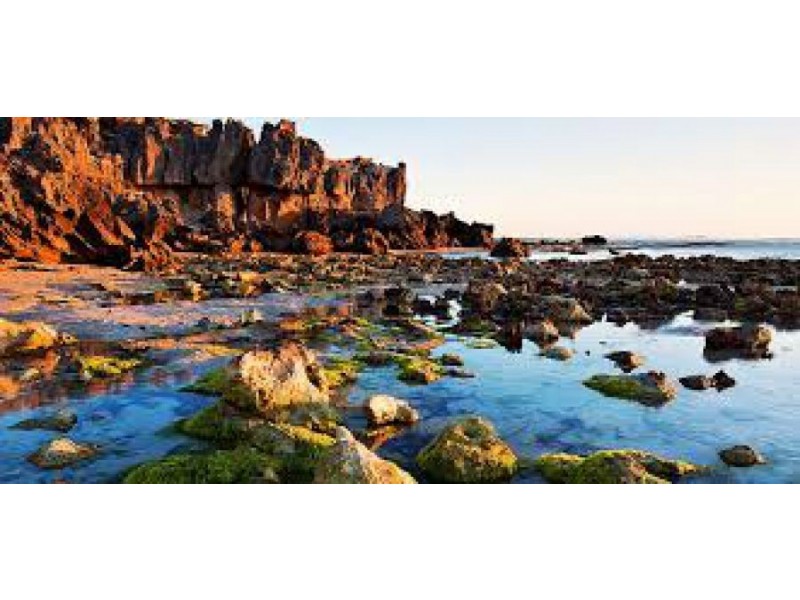 141 Sea Parade, Port Macdonnell SA 5291