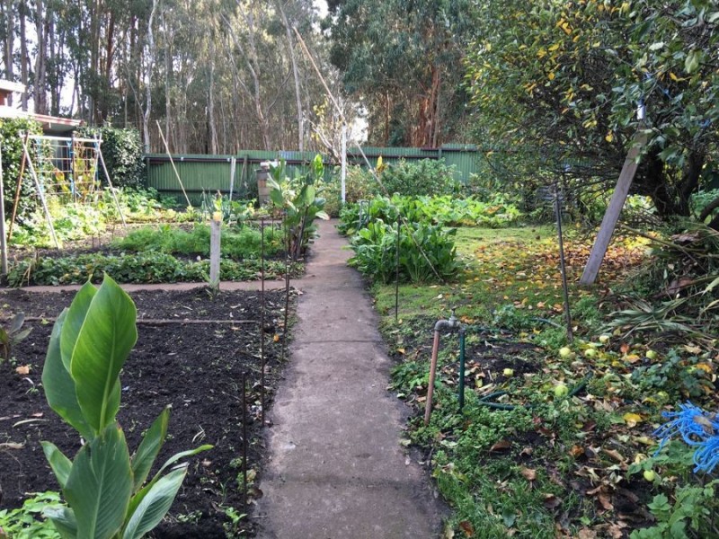 59 Wilson Lane, Glencoe SA 5291