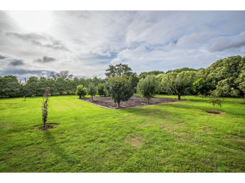 6 Tenison Drive, Mount Gambier SA 5290