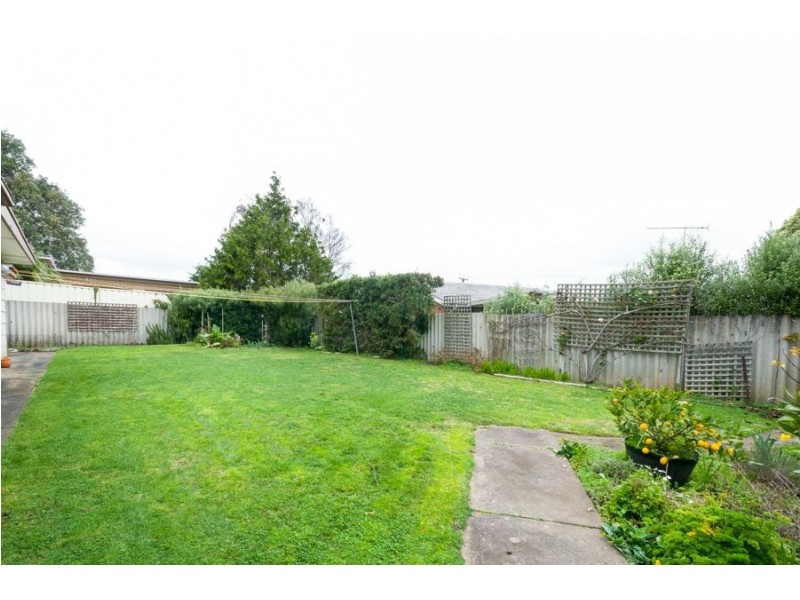 16 Swan Street, Mount Gambier SA 5290