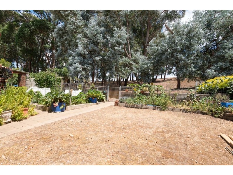 3 Tamar Court, Mount Gambier SA 5290