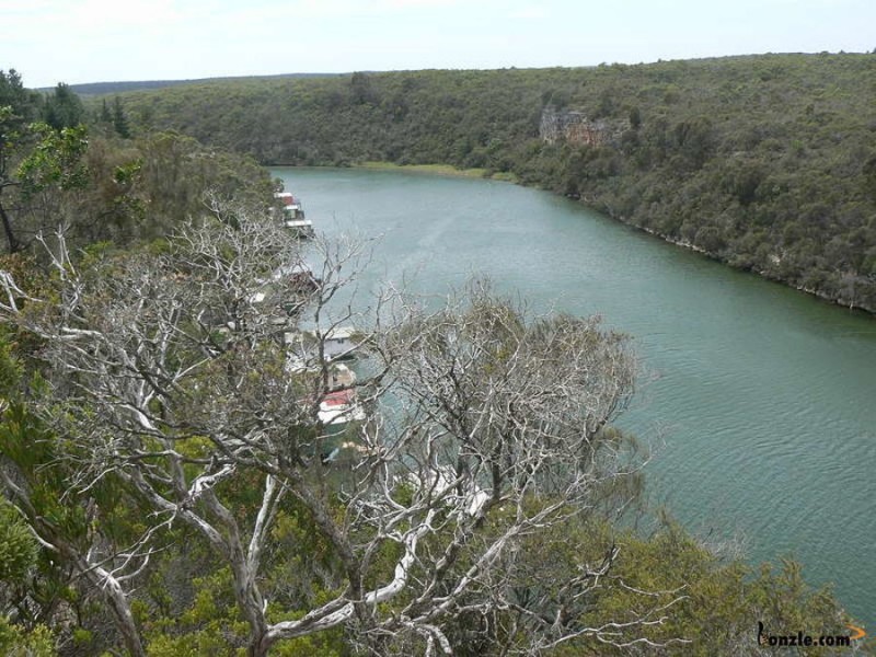 4 Border Road South, Donovans SA 5291