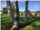 161 Lake Terrace East, Mount Gambier SA 5290