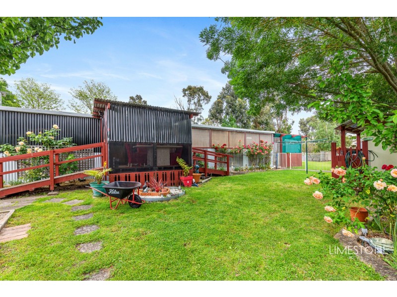 69 Riddoch Highway, Tarpeena SA 5277