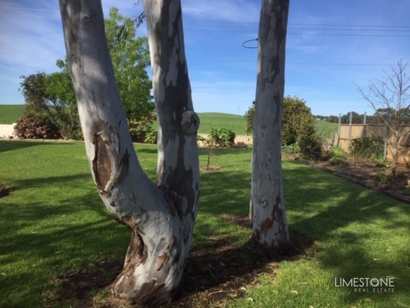 161 Lake Terrace East, Mount Gambier SA 5290