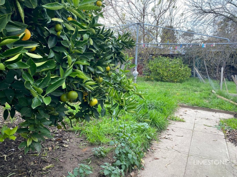 16 Coombe Street, Nangwarry SA 5277