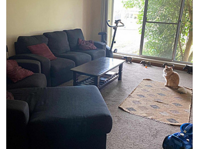 1/4 Wallace Street, Mount Gambier SA 5290