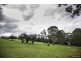46 Menangle Road, Glen Alpine NSW 2560