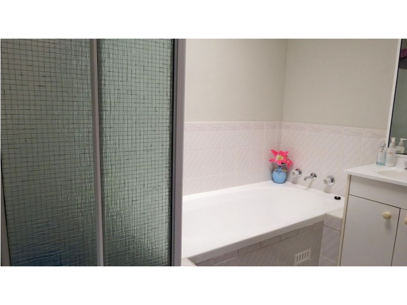 118A Chasselas Avenue, Eschol Park NSW 2558