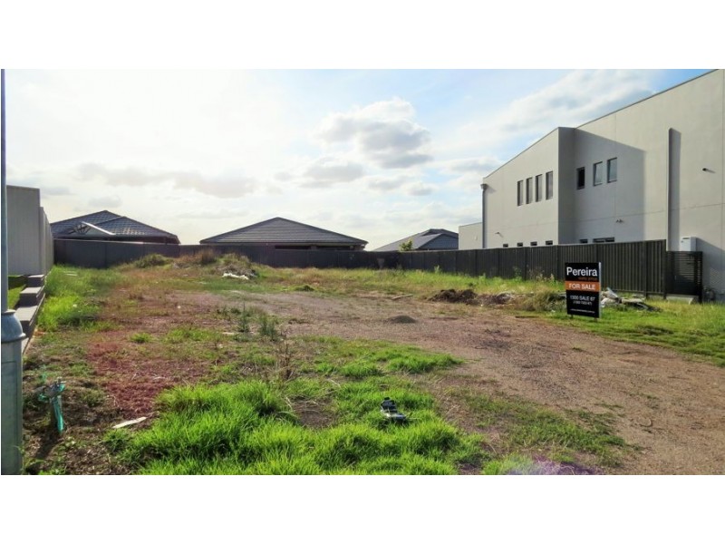 62 Ambrose Street, Oran Park NSW 2570