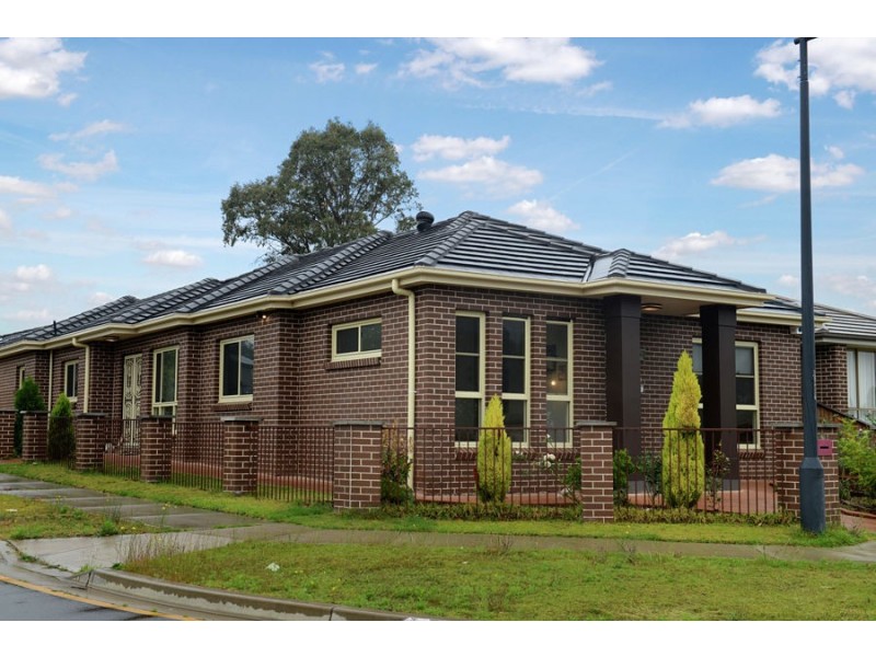 29 Grampian Avenue, Minto NSW 2566