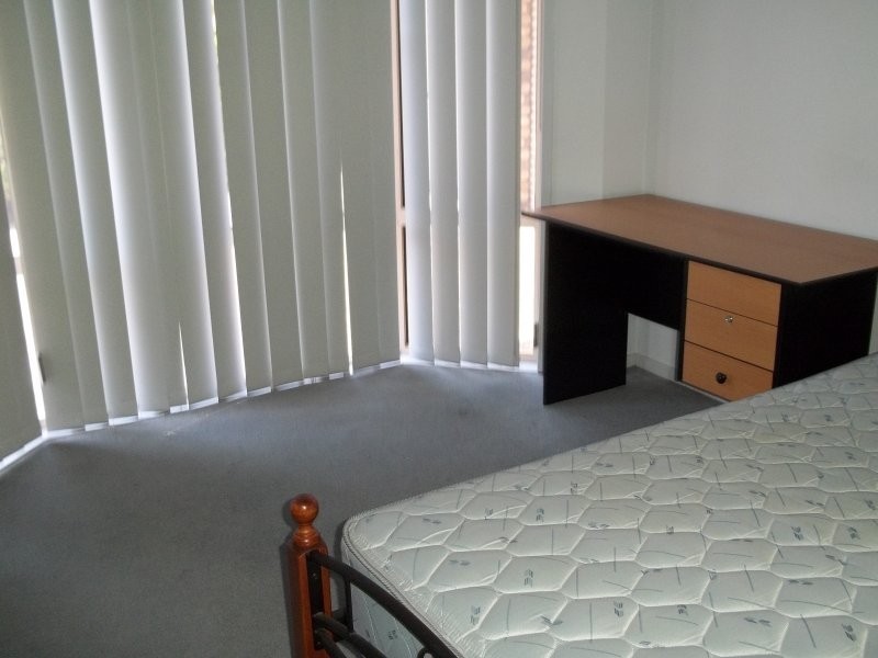 42 Wintergreen Drive, Parkwood QLD 4214