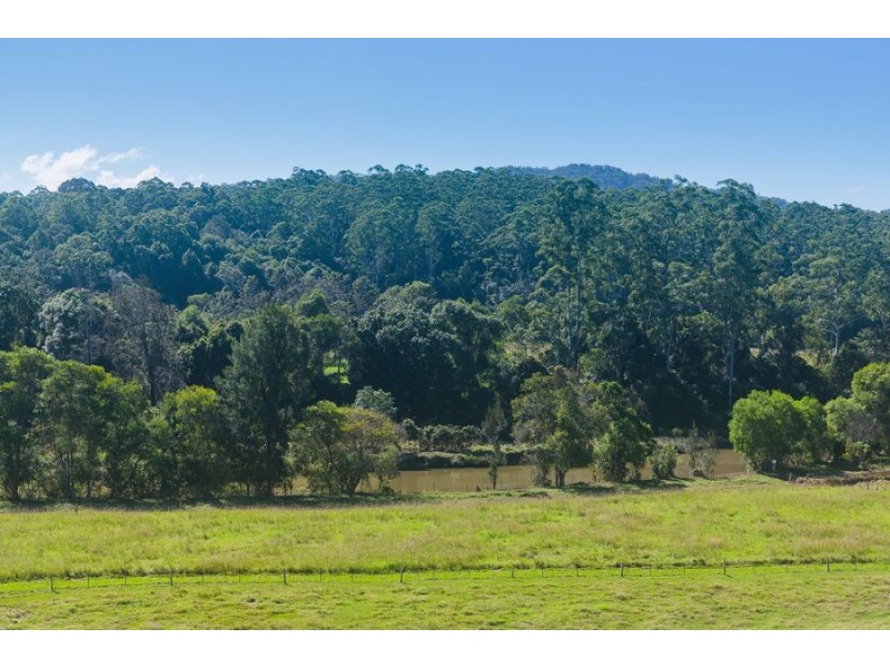 389 Martells Road, Bellingen NSW 2454
