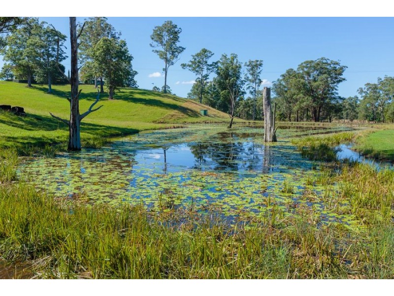 389 Martells Road, Bellingen NSW 2454