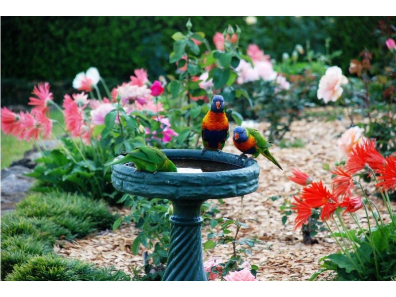 389 Martells Road, Bellingen NSW 2454