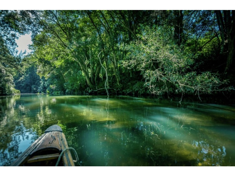 1432 Kalang Road, Bellingen NSW 2454