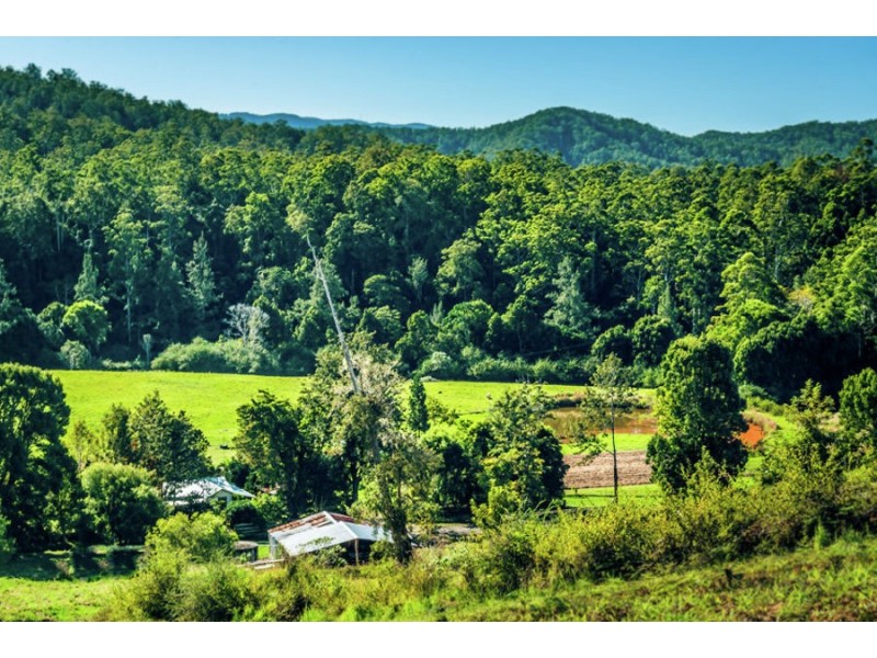 1432 Kalang Road, Bellingen NSW 2454