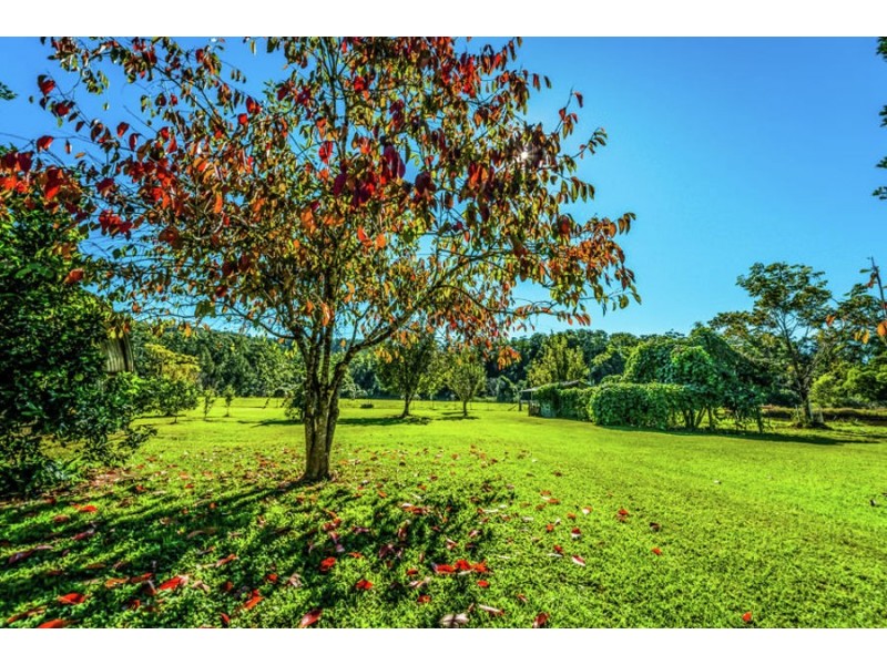 1432 Kalang Road, Bellingen NSW 2454