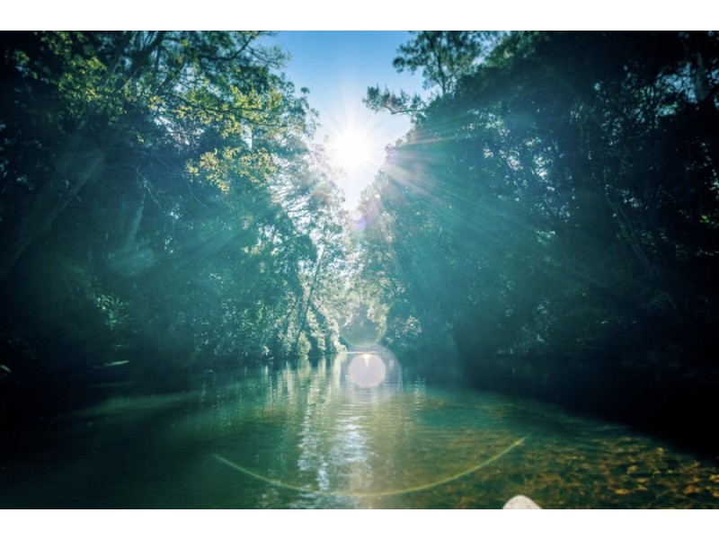 1432 Kalang Road, Bellingen NSW 2454