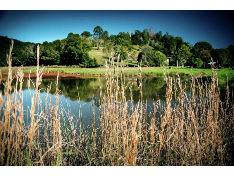 1432 Kalang Road, Bellingen NSW 2454