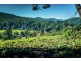 1432 Kalang Road, Bellingen NSW 2454
