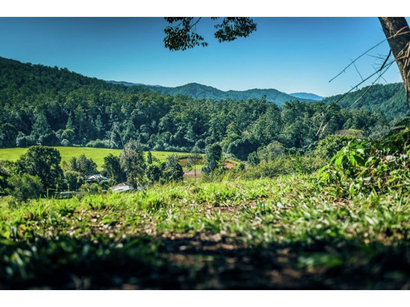 1432 Kalang Road, Bellingen NSW 2454