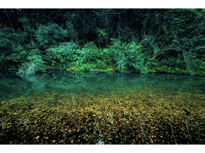 1432 Kalang Road, Bellingen NSW 2454