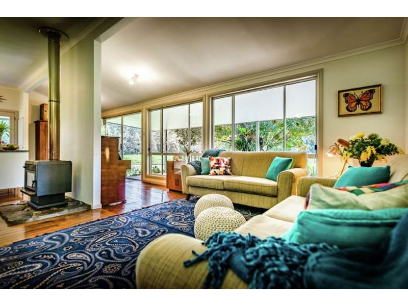 1432 Kalang Road, Bellingen NSW 2454