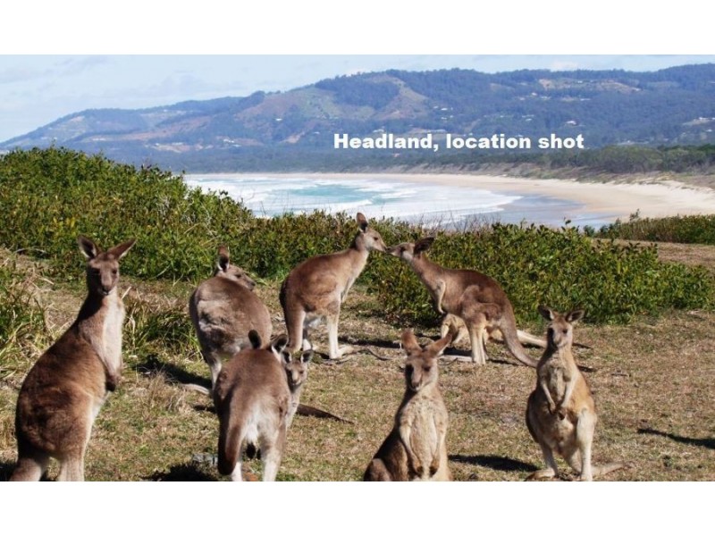 10 Ocean View Crescent, Emerald Beach NSW 2456