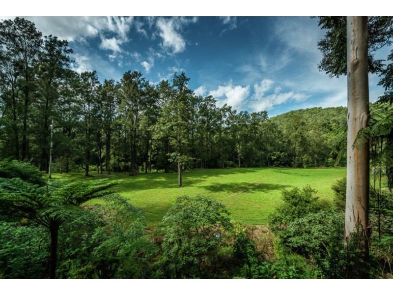 469 Kalang Road, Bellingen NSW 2454