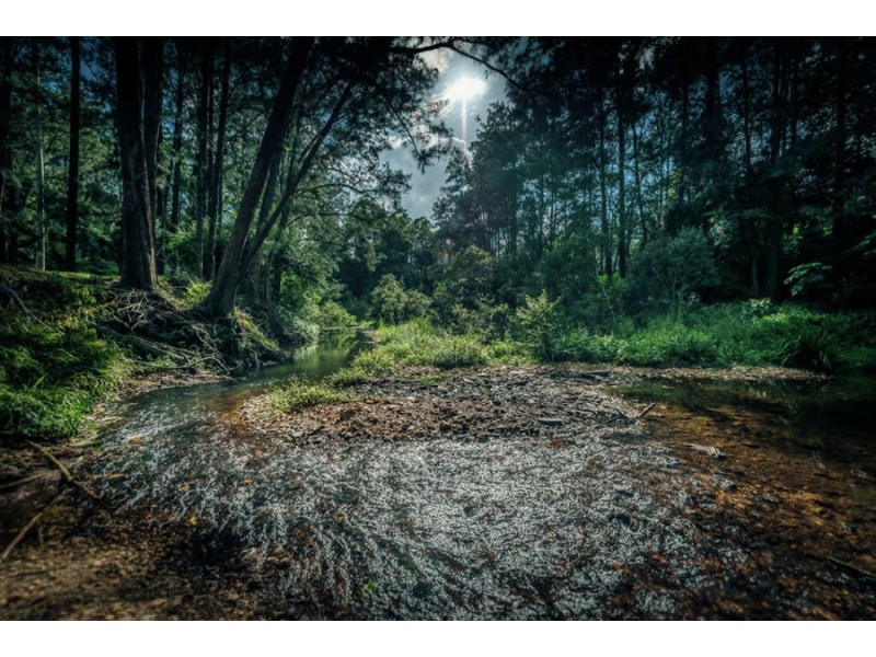 469 Kalang Road, Bellingen NSW 2454