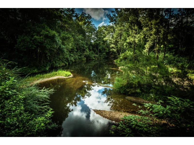 469 Kalang Road, Bellingen NSW 2454