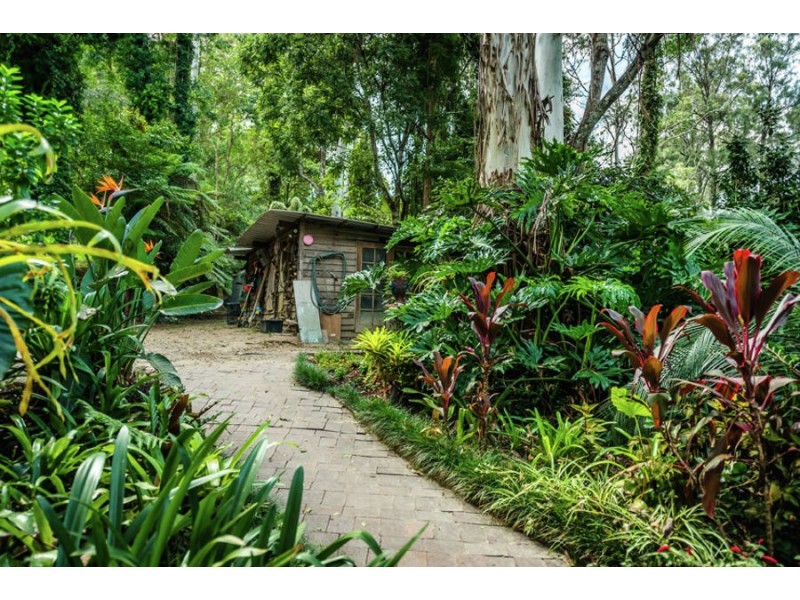 469 Kalang Road, Bellingen NSW 2454