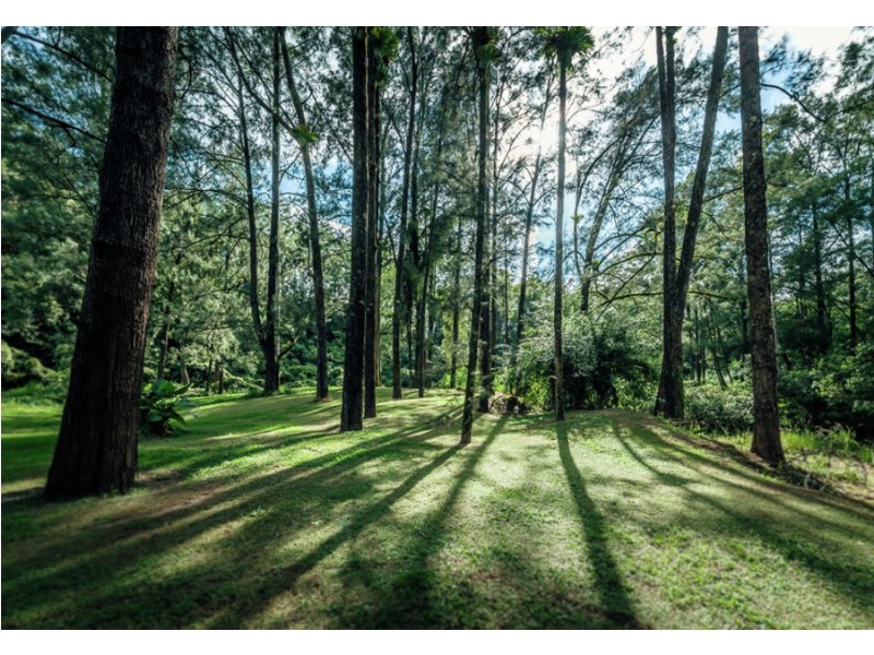 469 Kalang Road, Bellingen NSW 2454