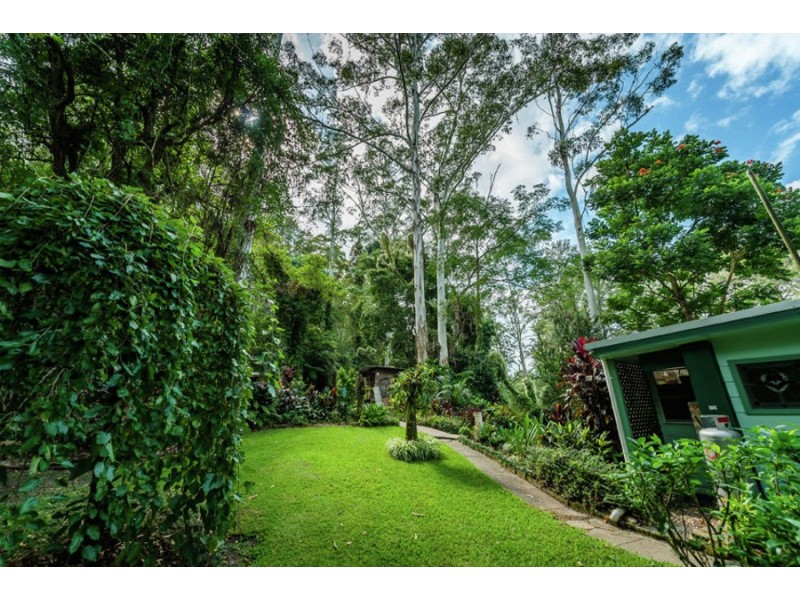469 Kalang Road, Bellingen NSW 2454